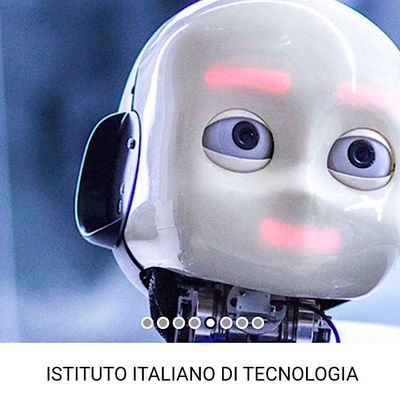 Italian Institute of Technology - IIT