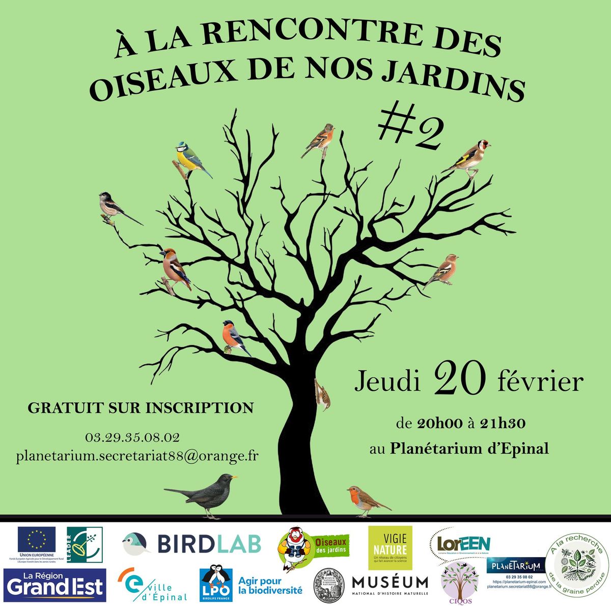 \u00c0 la rencontre des oiseaux de nos jardins #2