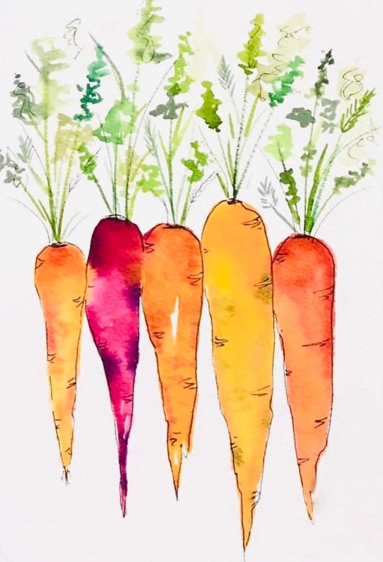 Crazy Carrots Ink and Watercolor Class with Tia - Wednesday October 16, 2024, 6-8pm 