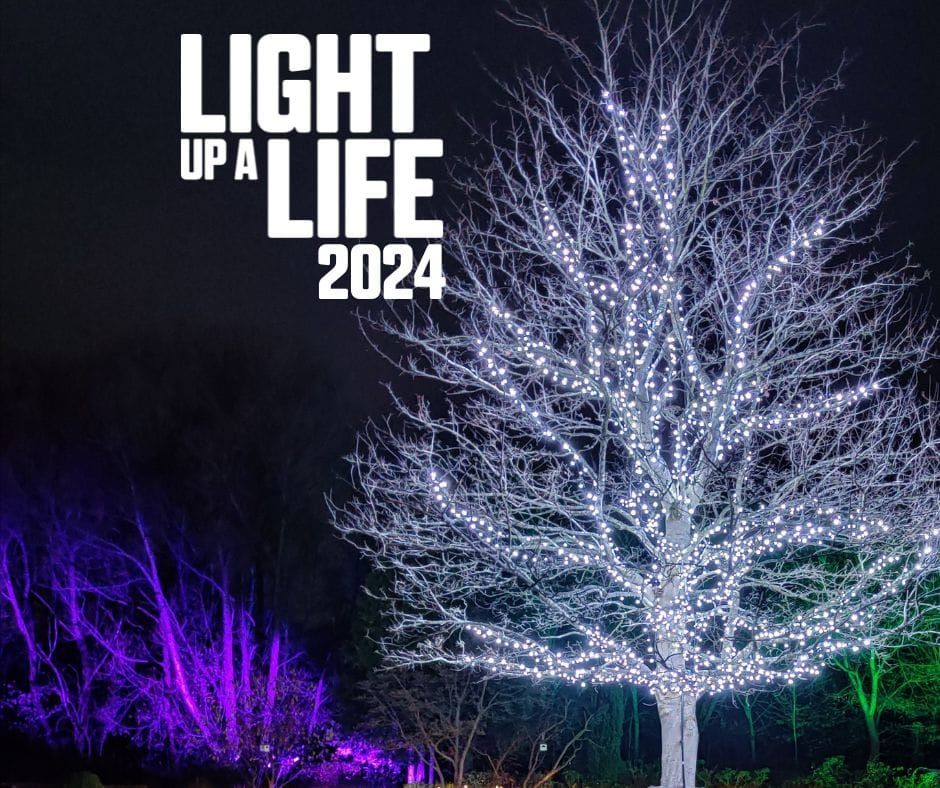 Light Up A Life 2024 Dalton