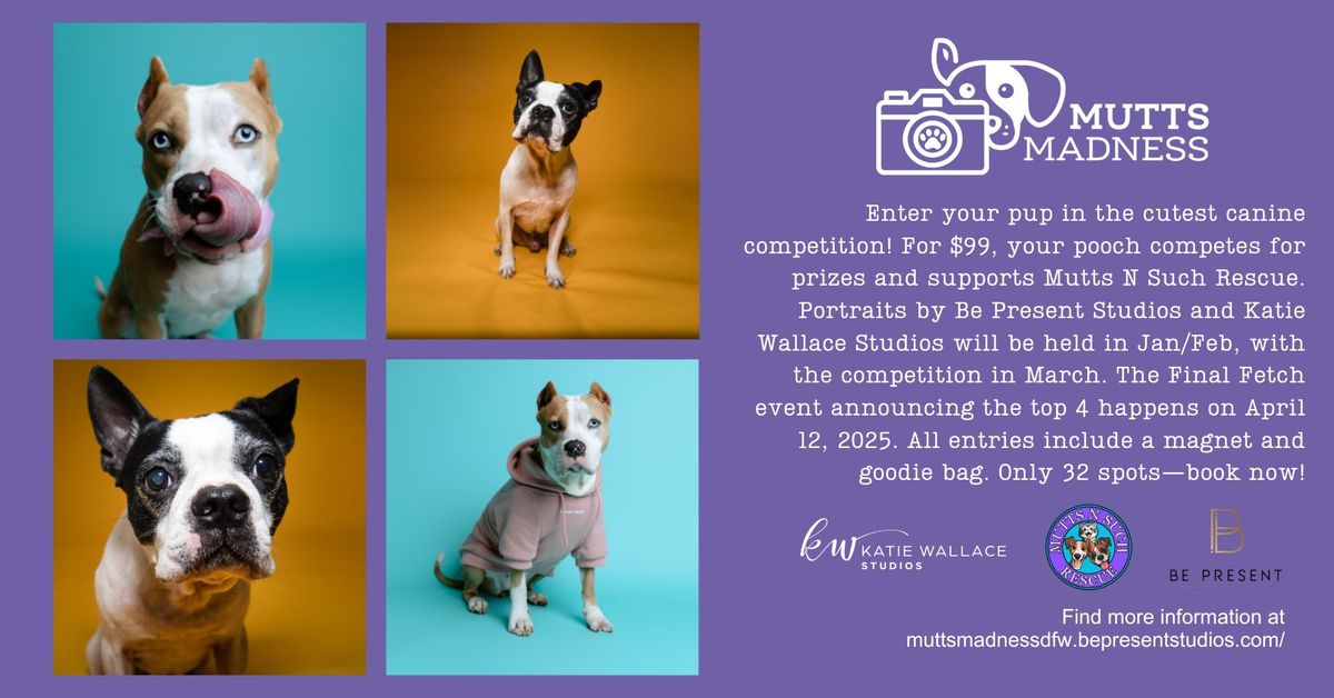 Mutts Madness - The Cutest Canine Competition