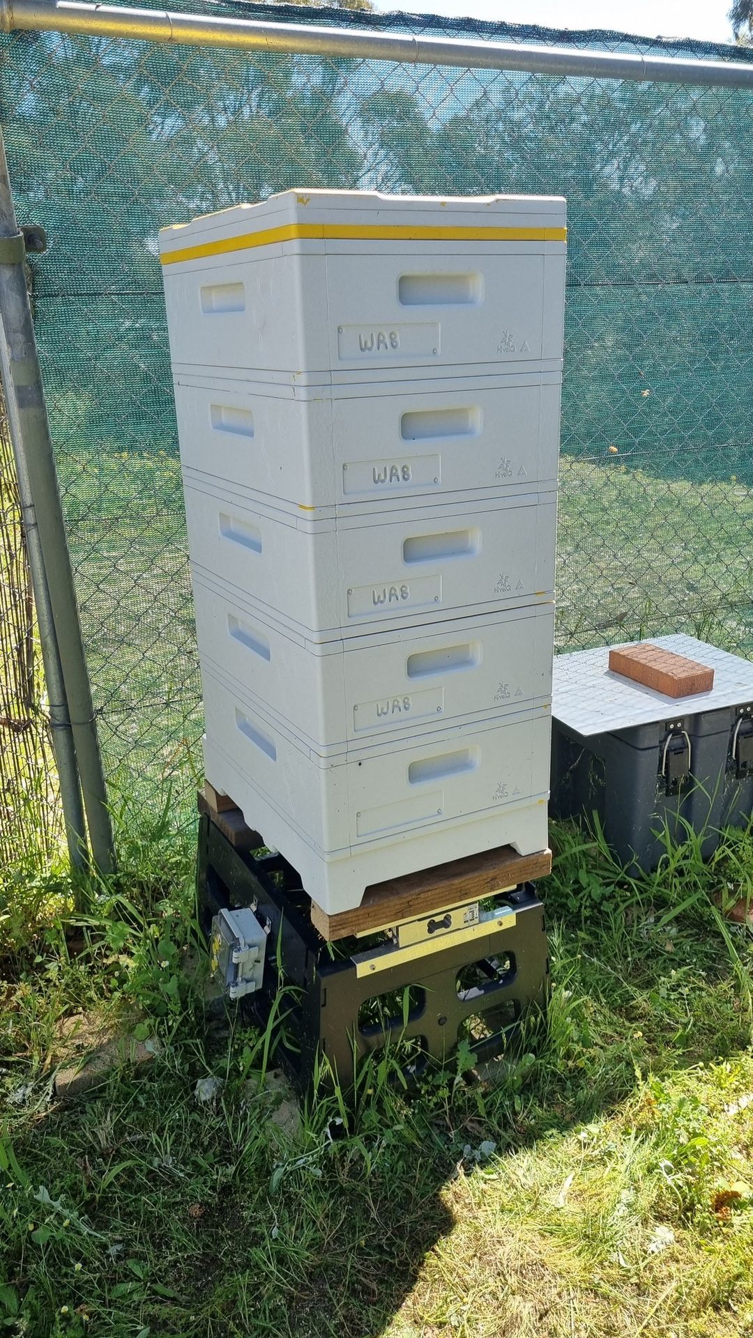 Training Apiary Inspection