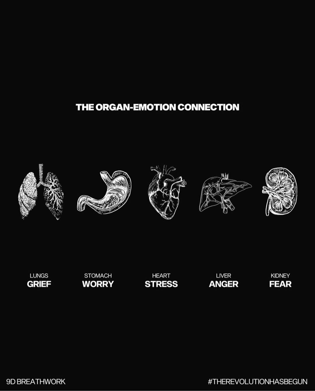 Subconscious Mind Reprogramming -9D Breathwork with Ceremonial Cacao, and Energy Healing