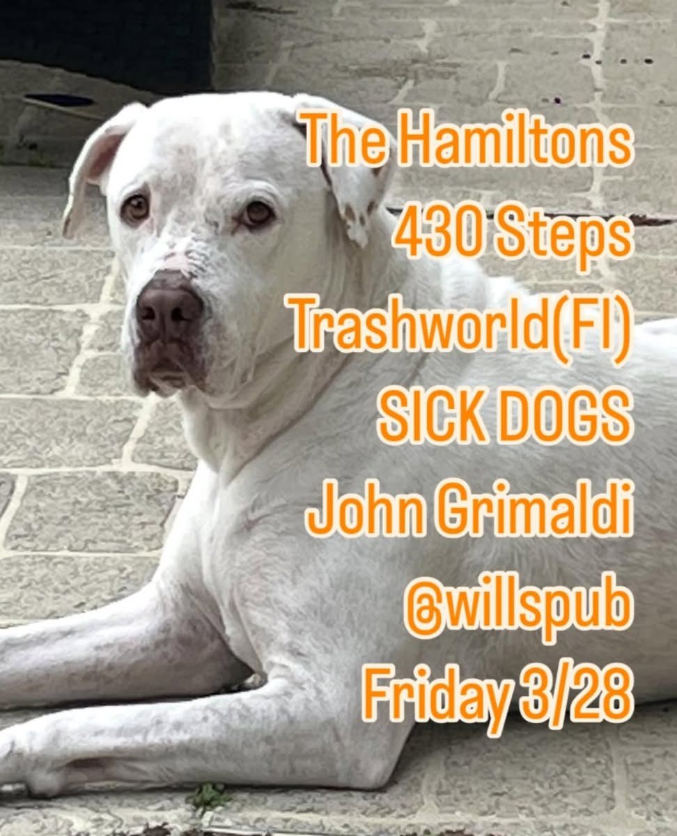 The Hamiltons, 430 Steps, Trashworld, Sick Dogs, and John Grimaldi