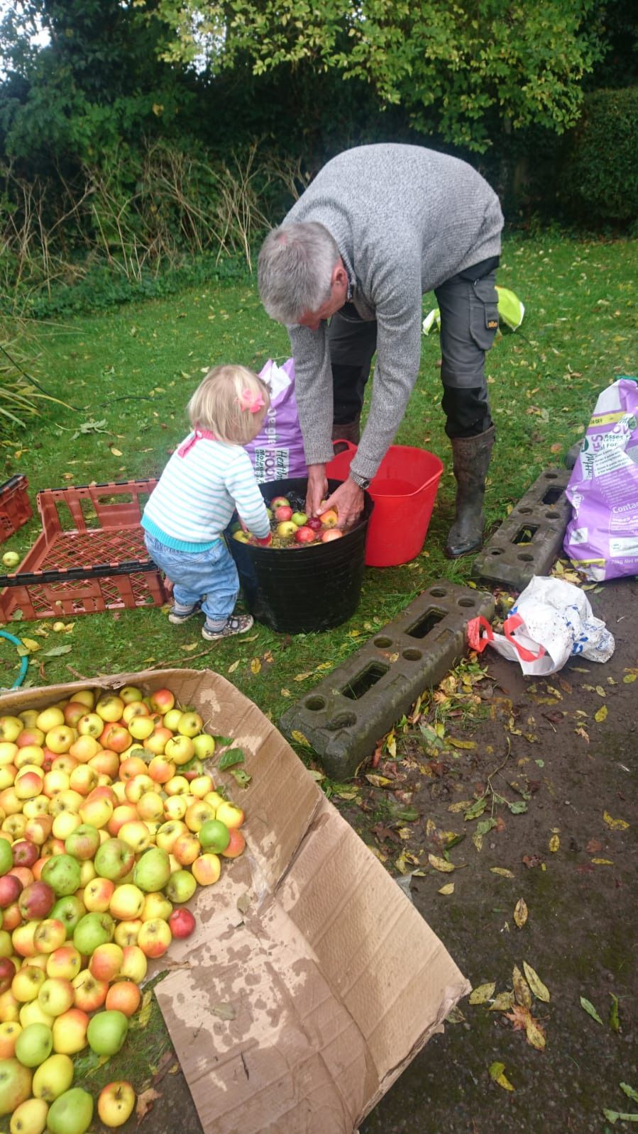 Hub Apple Day!