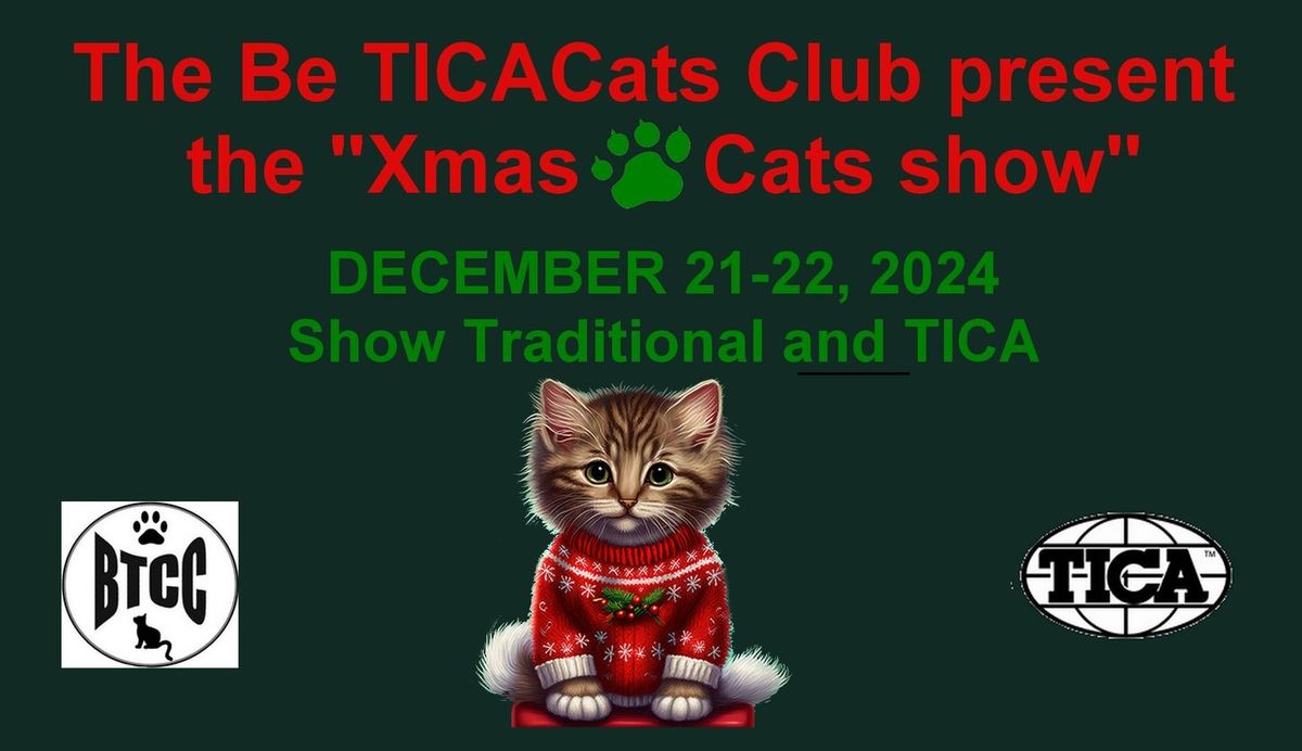 Xmas Cats Show - Dour