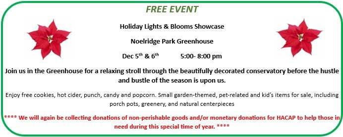 Lights & Blooms Holiday Showcase