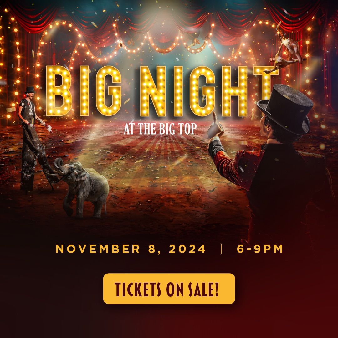 Big Night at the Big Top\ud83c\udfaa\u2728