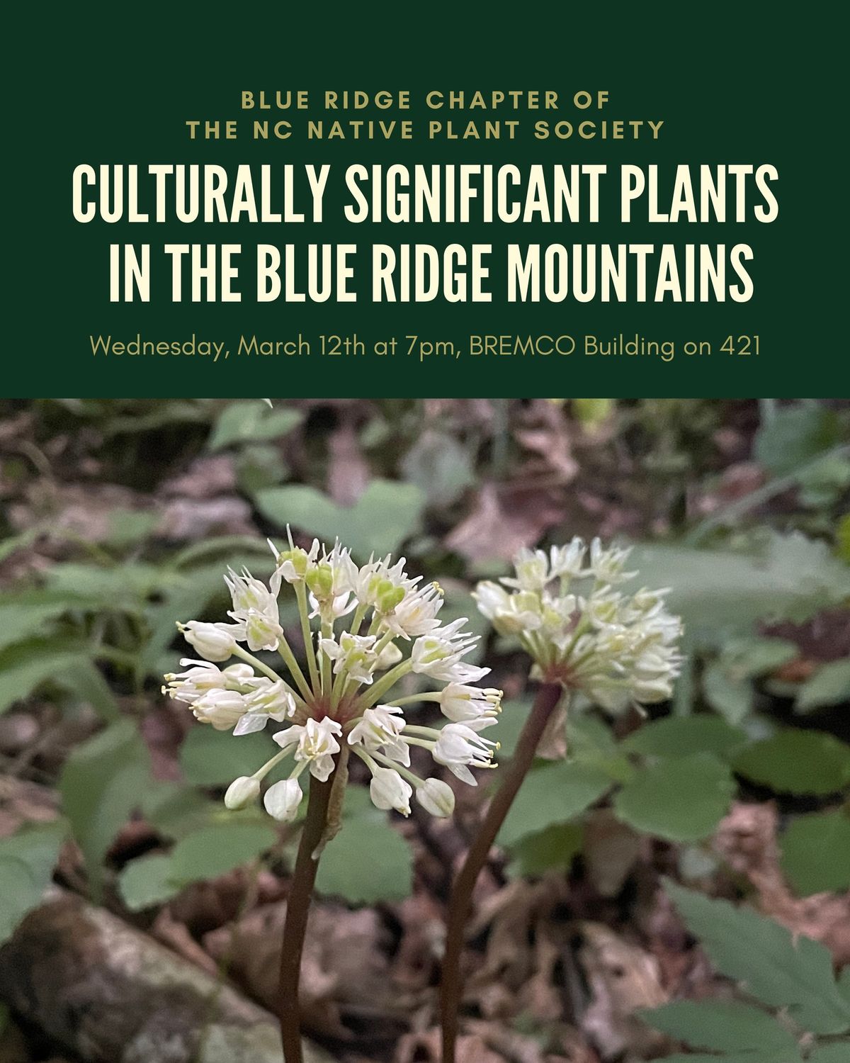 Culturally Significant Plants of the Blue Ridge - NCNPS Monthly Meeting