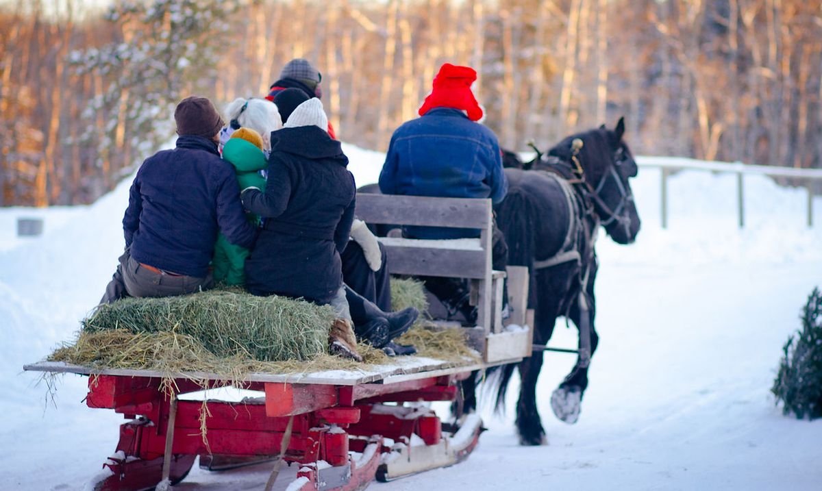 Christmas at the Creek 2024