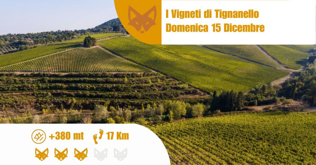 I Vigneti di Tignanello