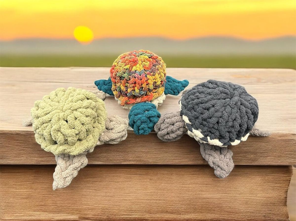 Chunky Knit Large Sea Turtle Pillow Workshop