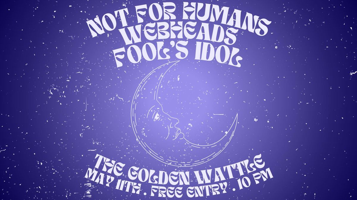 LIVE AT GOLDEN WATTLE W\/ NOT FOR HUMANS, WEBHEADS & FOOL\u2019S IDOL