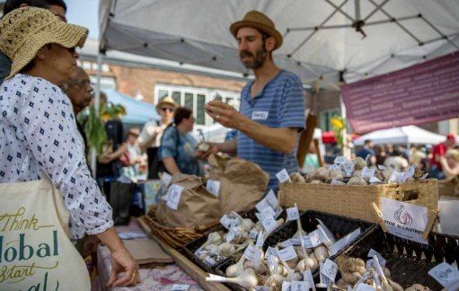 Toronto Garlic Festival presented by Dupont by the Castle BIA