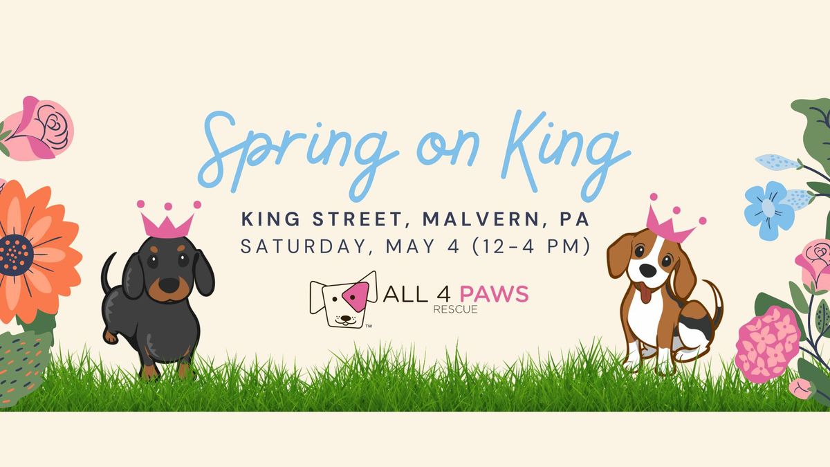 All 4 Paws at Spring on King!