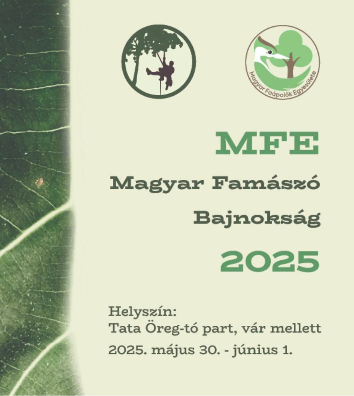 MFE Magyar Fam\u00e1sz\u00f3 Bajnoks\u00e1g