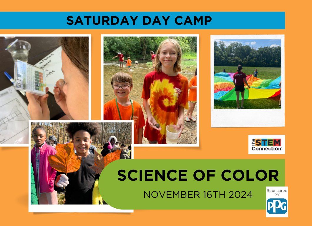 Science Of Color Saturday Day Camp