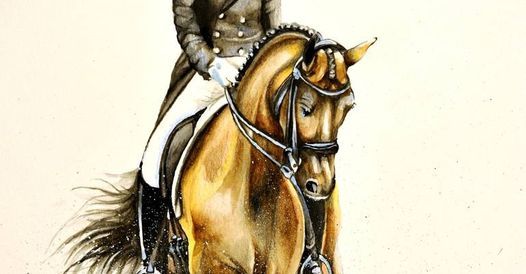 British Dressage (P-GP) & Unaffiliated Dressage