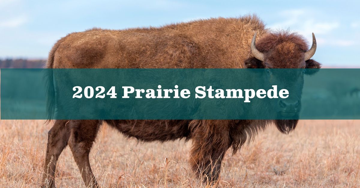 Prairie Stampede 2024