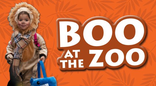 Boo at the Zoo