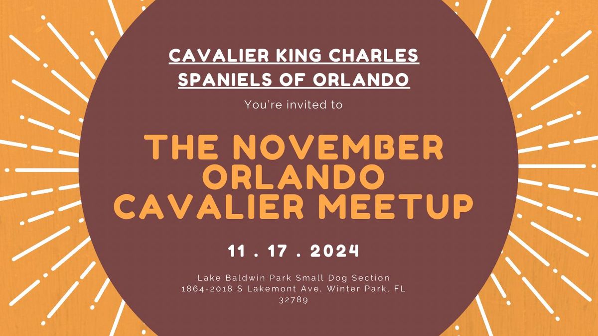 November Orlando Cavalier Meetup