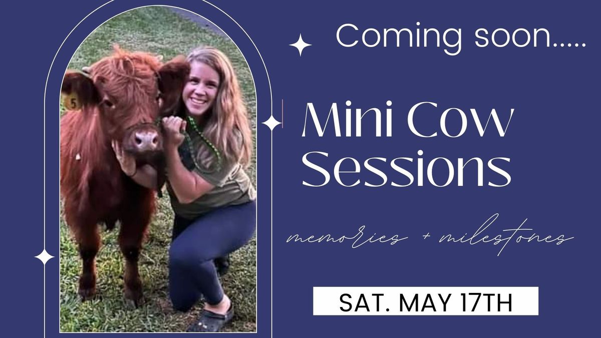 Mini Cow Session - SELF SERVE PHOTOS 