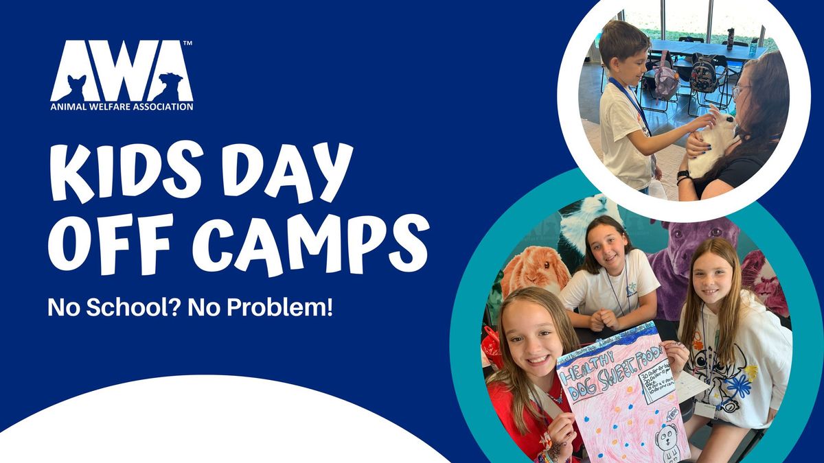 Kids Day Off Camps