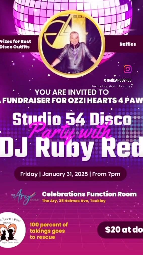 Studio 54 Disco Fundraiser