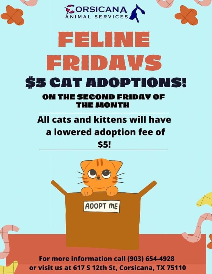 Corsicana Animal Shelter Feline Fridays