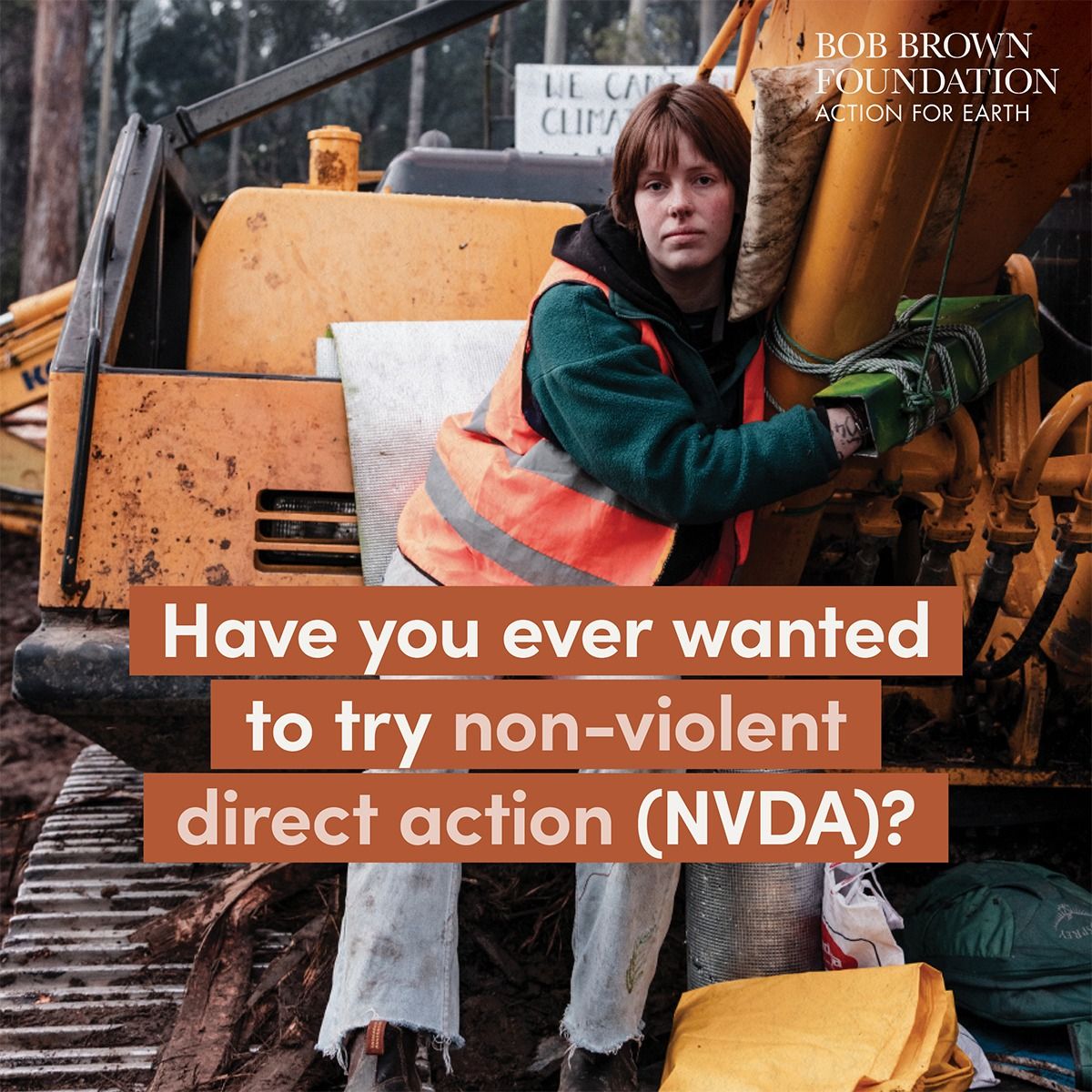 Introduction to NVDA (Non-Violent Direct Action)