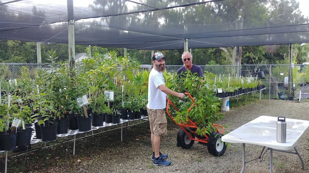 Native Plant Sale 