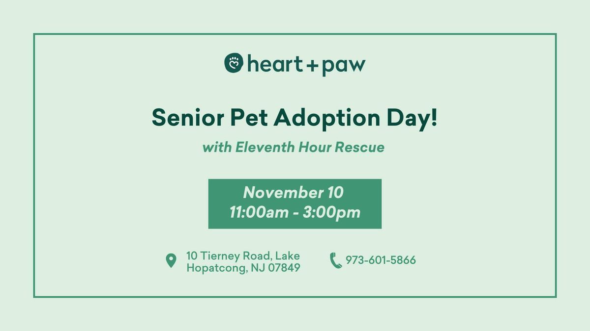 Senior Pet Adoption Day