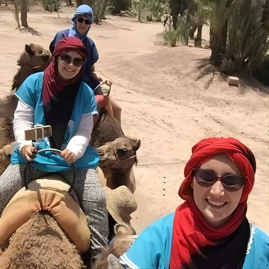 Camel Ride at the Palm Groves in Marrakech