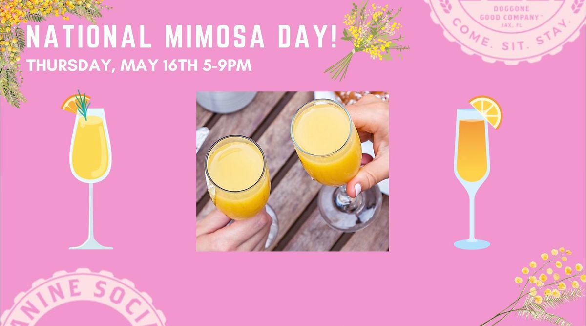 National Mimosa Day! 