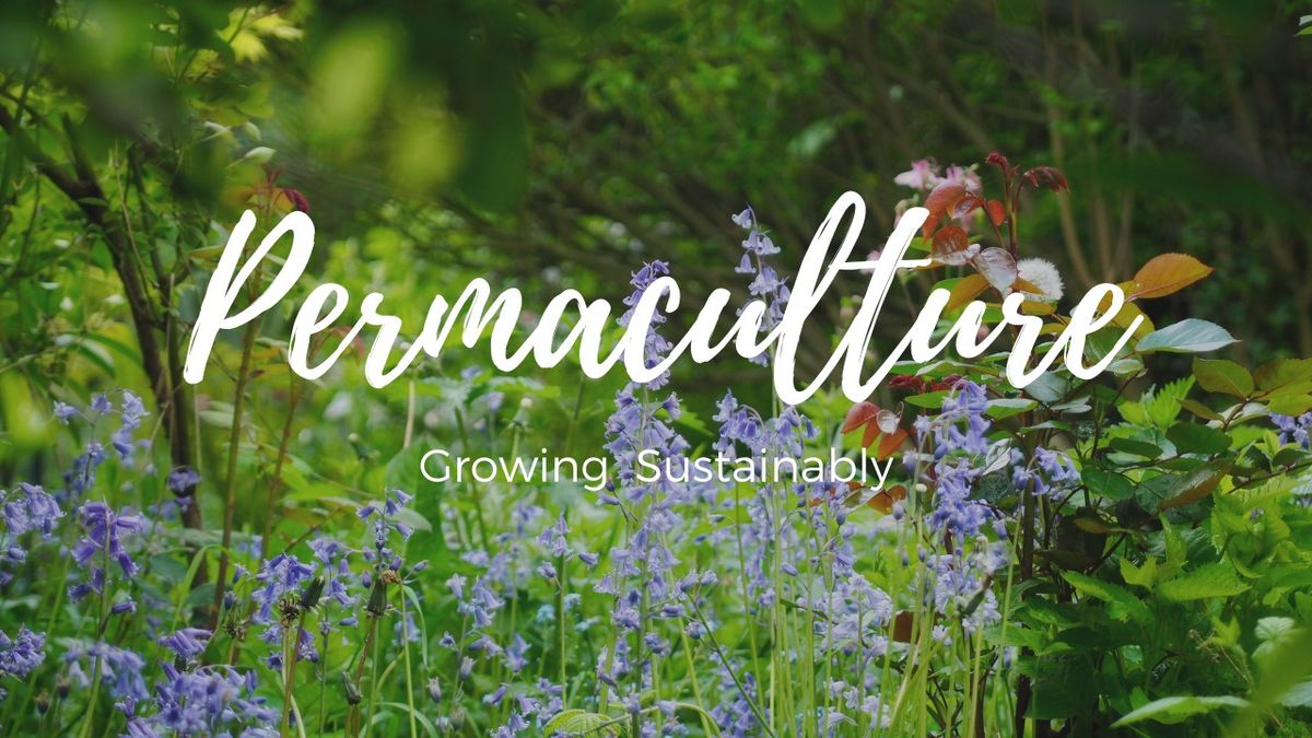 Growing Sustainably using Permaculture Design