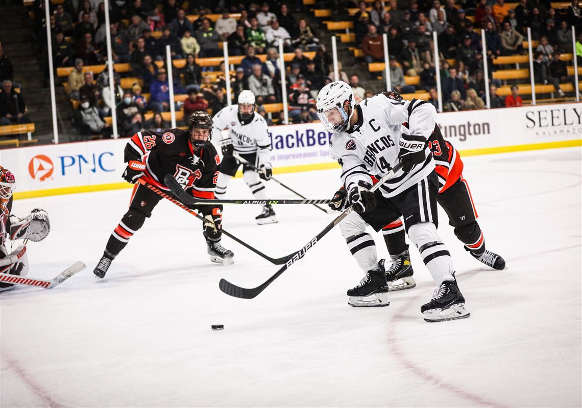 Bowling Green State Falcons at Western Michigan Broncos Mens Hockey