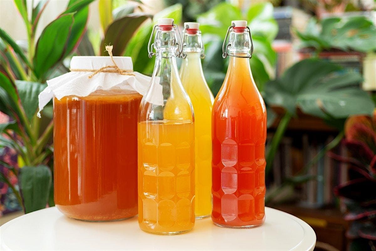 Kombucha Brewing 101