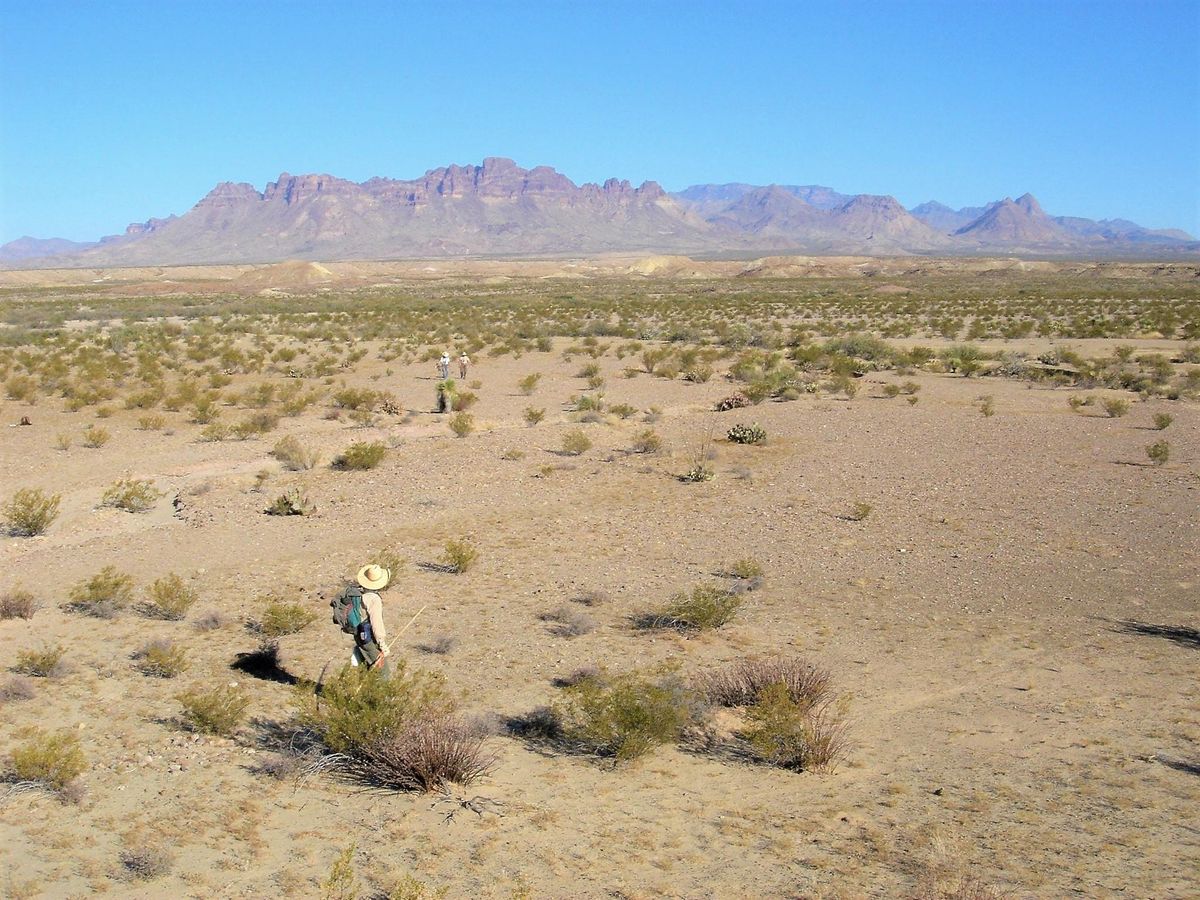 Unlocking the Secrets of Big Bend