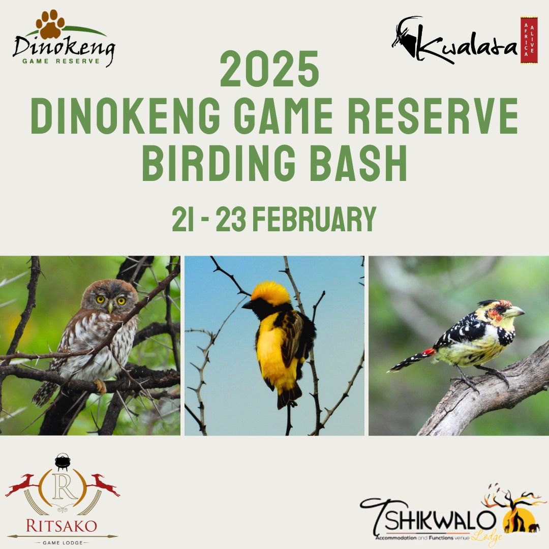 2025 Dinokeng Game Reserve Birding Bash