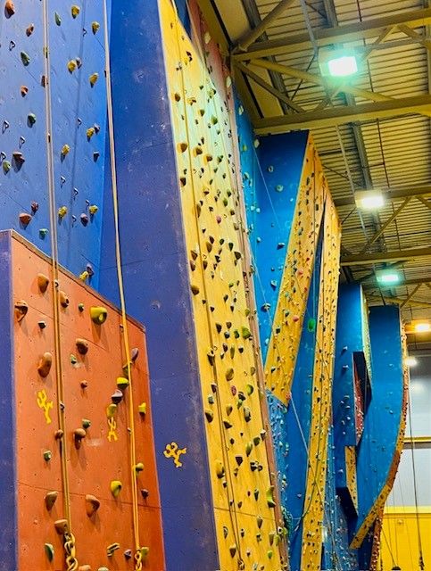 Family Climbing wall session