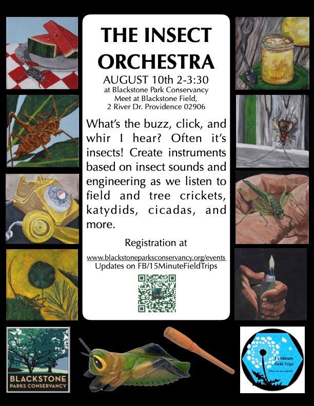 The Insect Orchestra