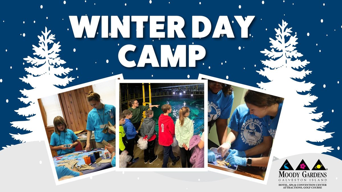 Winter Day Camp