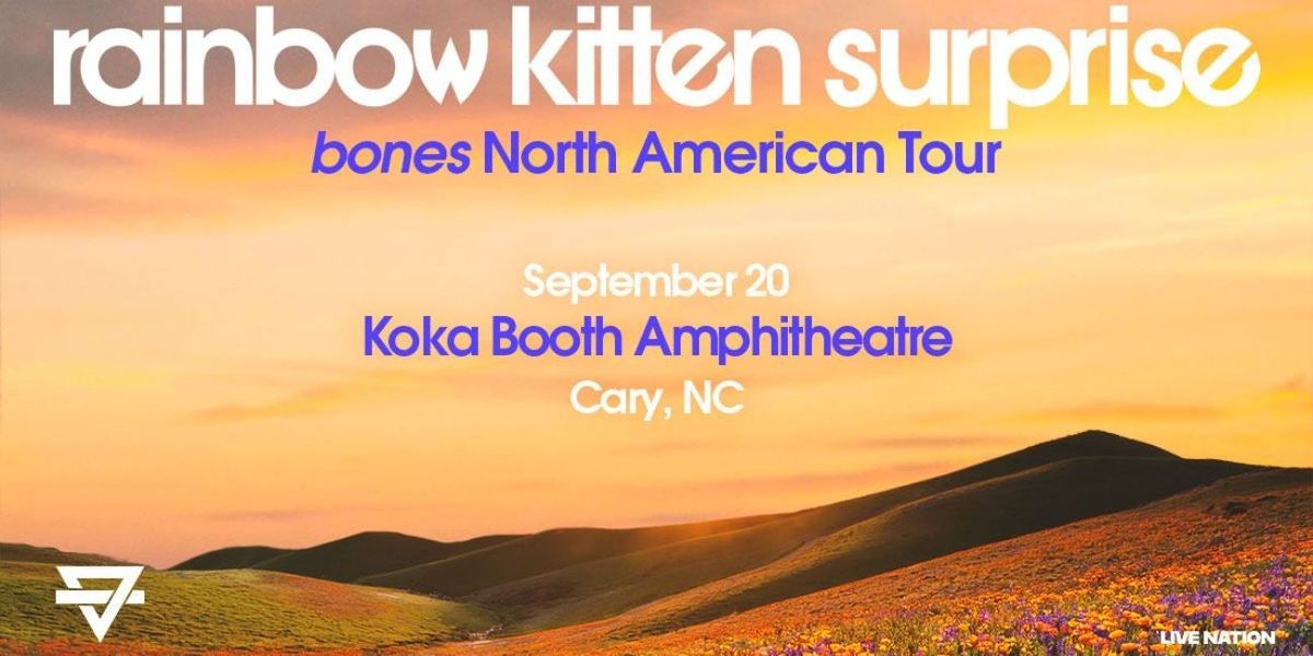 Rainbow Kitten Surprise