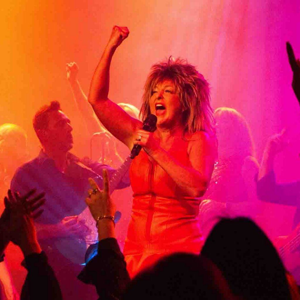 Tina Turner Tribute Night - Sandwich