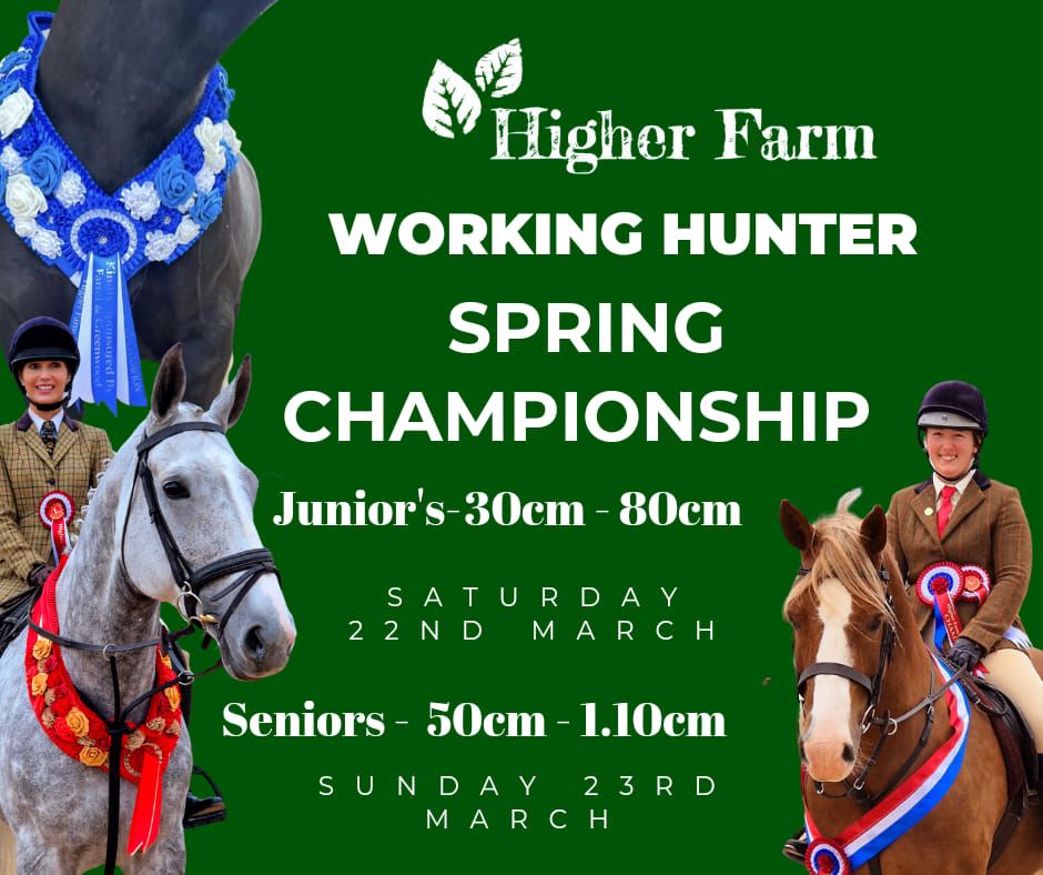 Working Hunter Senior Spring Championship (Winter Series Final Show 4)