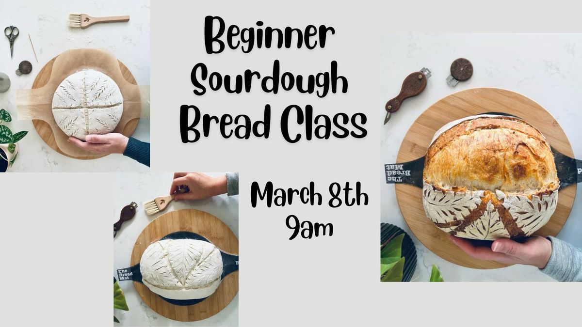 Beginner Sourdough Bread Class