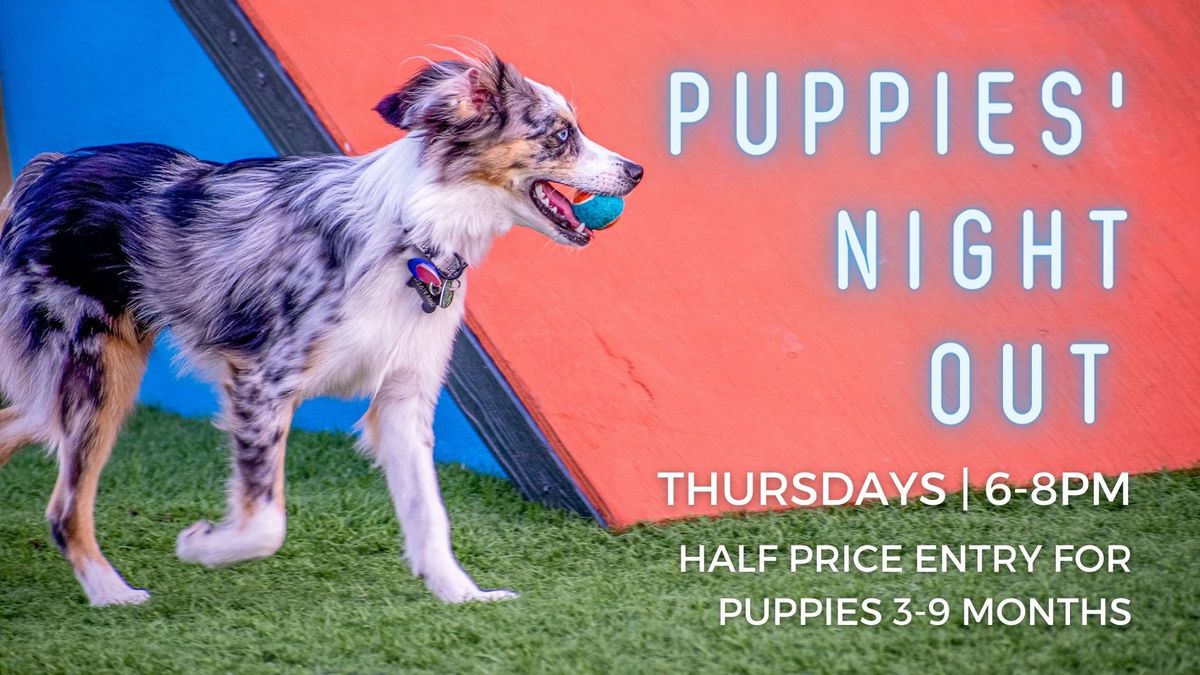 Puppies' Night Out w\/ Kennelwood Trainers