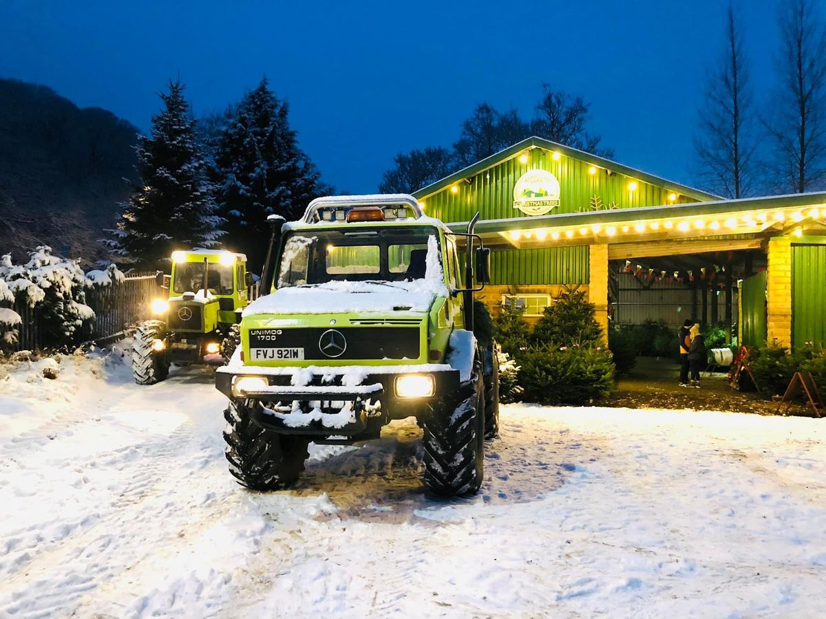 HAWKCLIFFE FARM CHRISTMAS TREES GRAND OPENING! YEEEHAAAA...! 