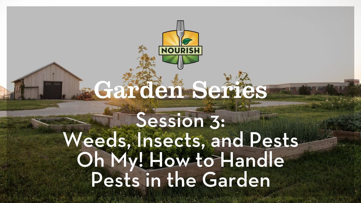 Garden Series Session 3: How to Handle Pests in the Garden (Evening Session)