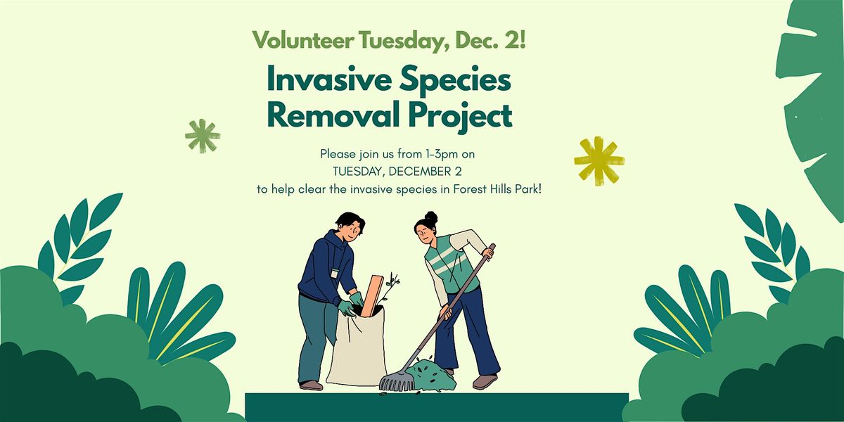 Invasive Species Removal Project